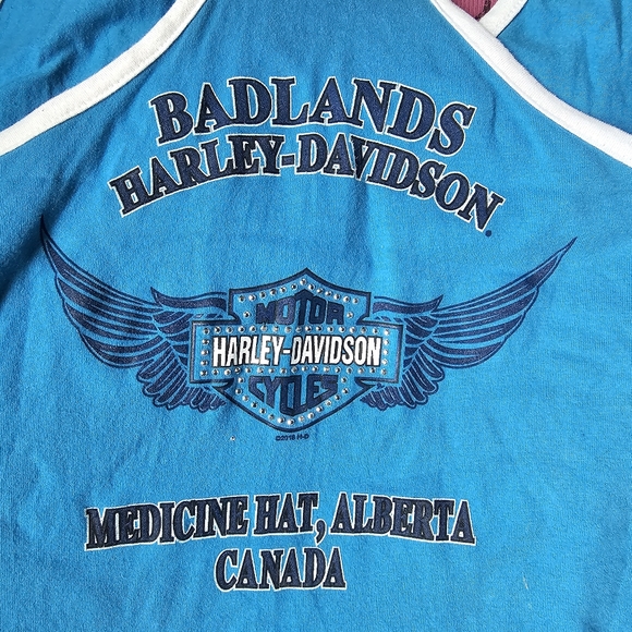 3W - Harley-Davidson Tank blue/white - Picture 3 of 5